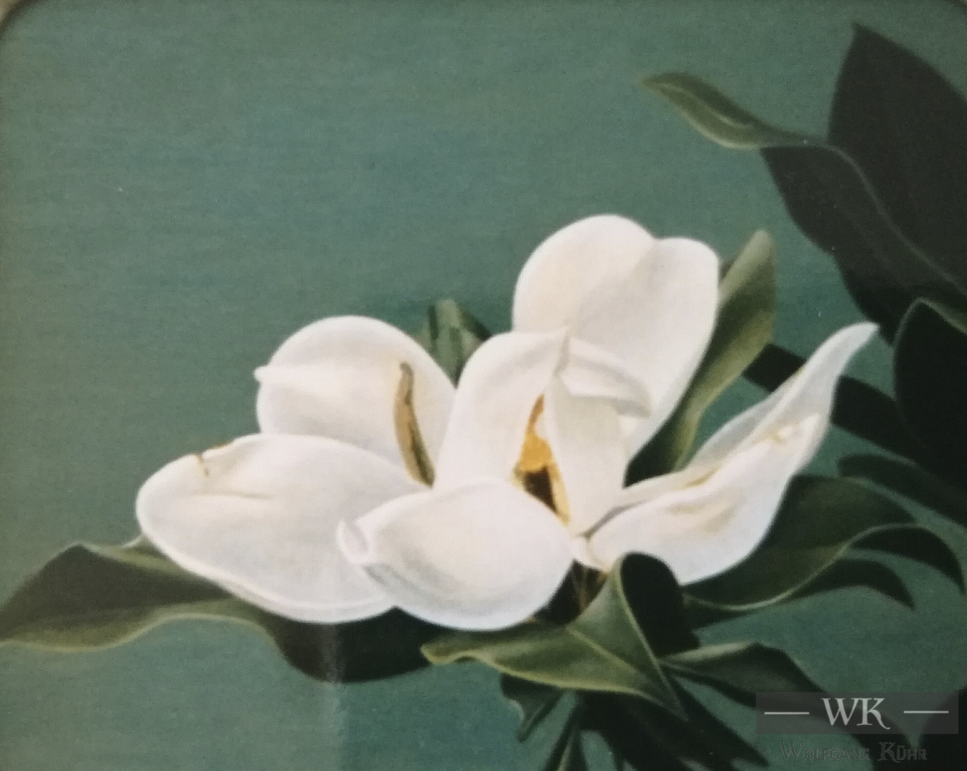 W26 – „Magnolienblüte“ 30×24 I Öl auf Leinwand (1998)