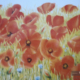 W42 – „Mohnblumen“ 61×51 I Öl auf Leinwand (2014)